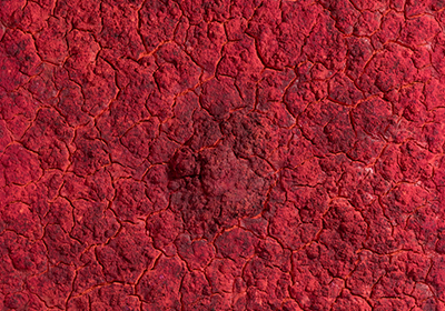 Untitled, 2011 (Bosco Sodi)
Mixed media on canvas
150 x 150 cm.