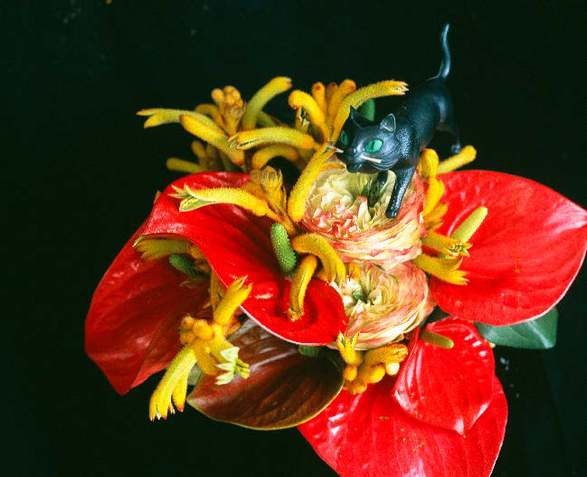 Nobuyoshi Araki “Monstrous Paradise”