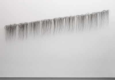 Capilares III, 2009
Sculpture, horsetail
100 x 500 x 50 cm.