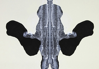 Poison & Antidote Drawing, 2012
Inkblot made from rattlesnake venom and black ink, anti-venom and white ink on acid-free paper
64 x 64 cm.