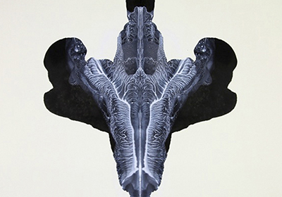 Poison & Antidote Drawing, 2012
Inkblot made from rattlesnake venom and black ink, anti-venom and white ink on acid-free paper
64 x 64 cm.